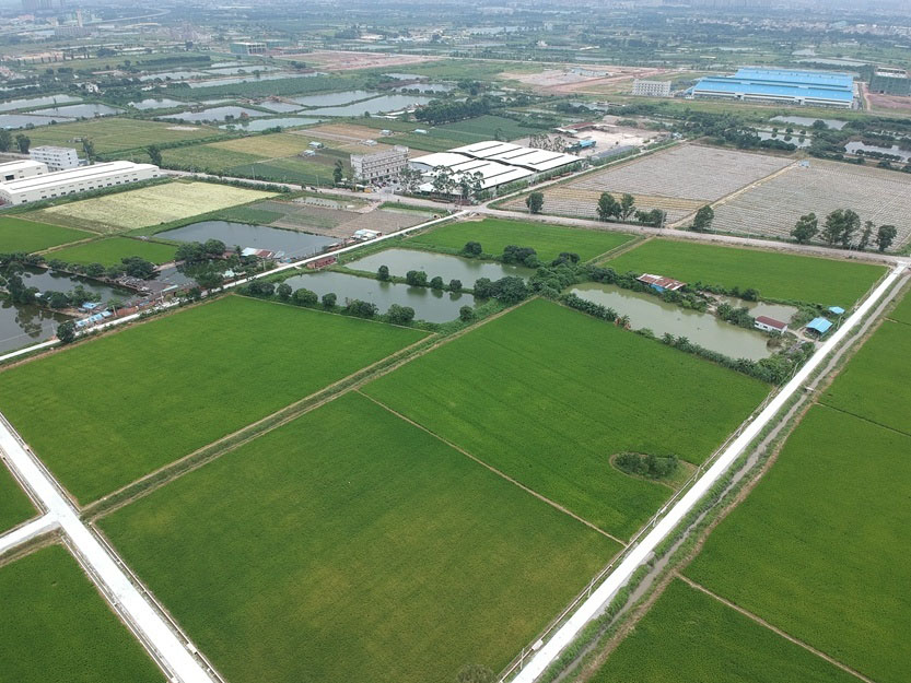 博羅縣石灣鎮(zhèn)鐵場村、白沙村現(xiàn)有耕地提質(zhì)改造項目
